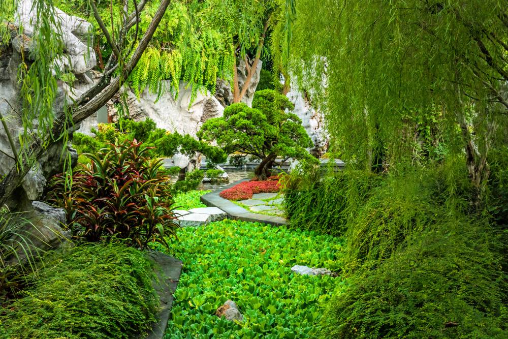 Foliage Garden IN SINGAPORE BOTANIC GARDENS
